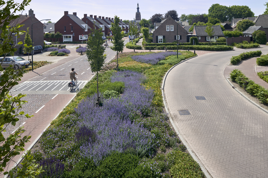 openbaar terrein vaste planten